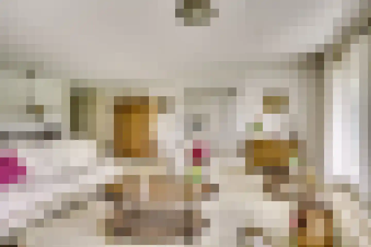 Zomervlinderberm 18 Houten thumbnail 15