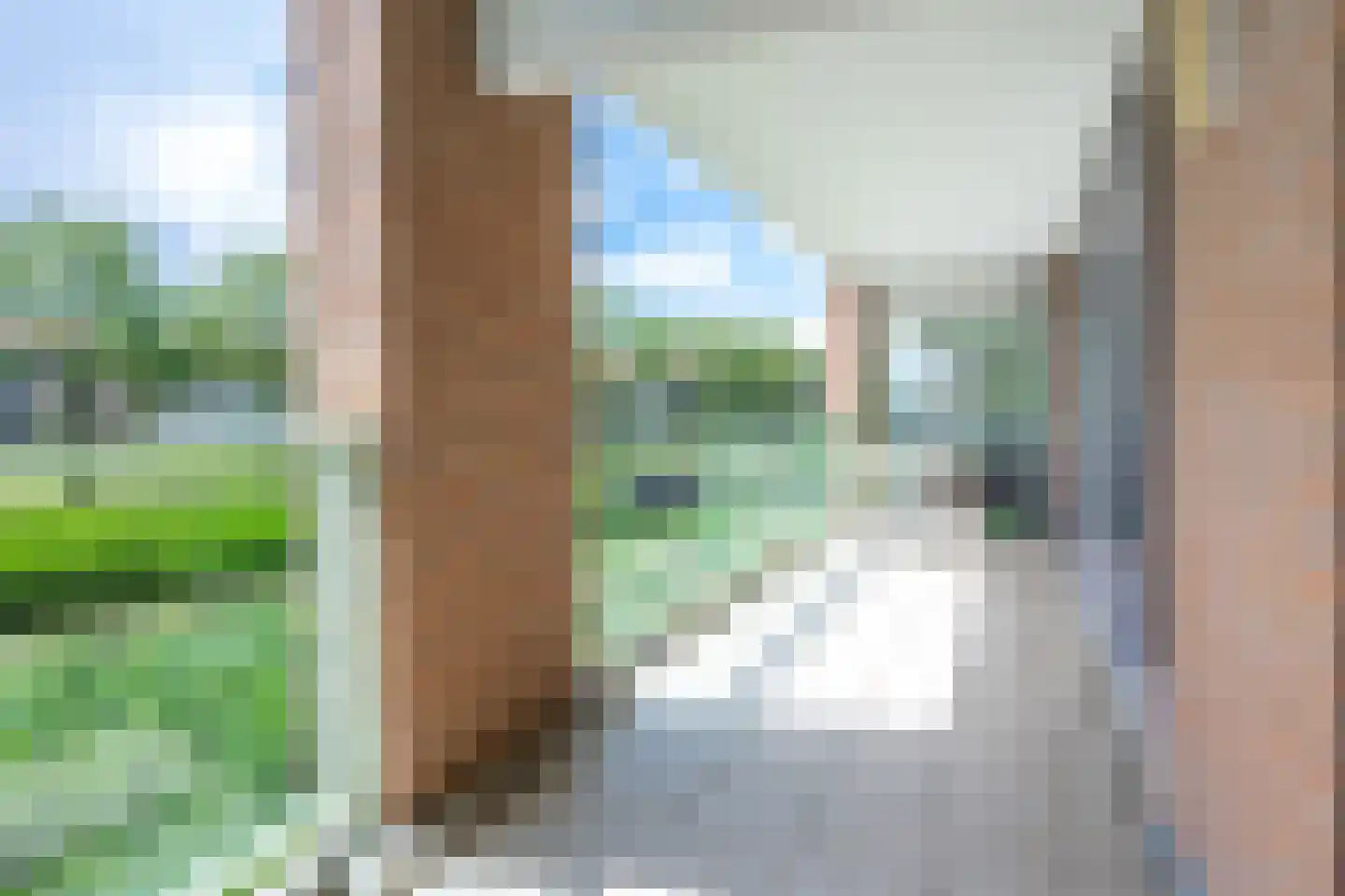 Zomervlinderberm 18 Houten thumbnail 17