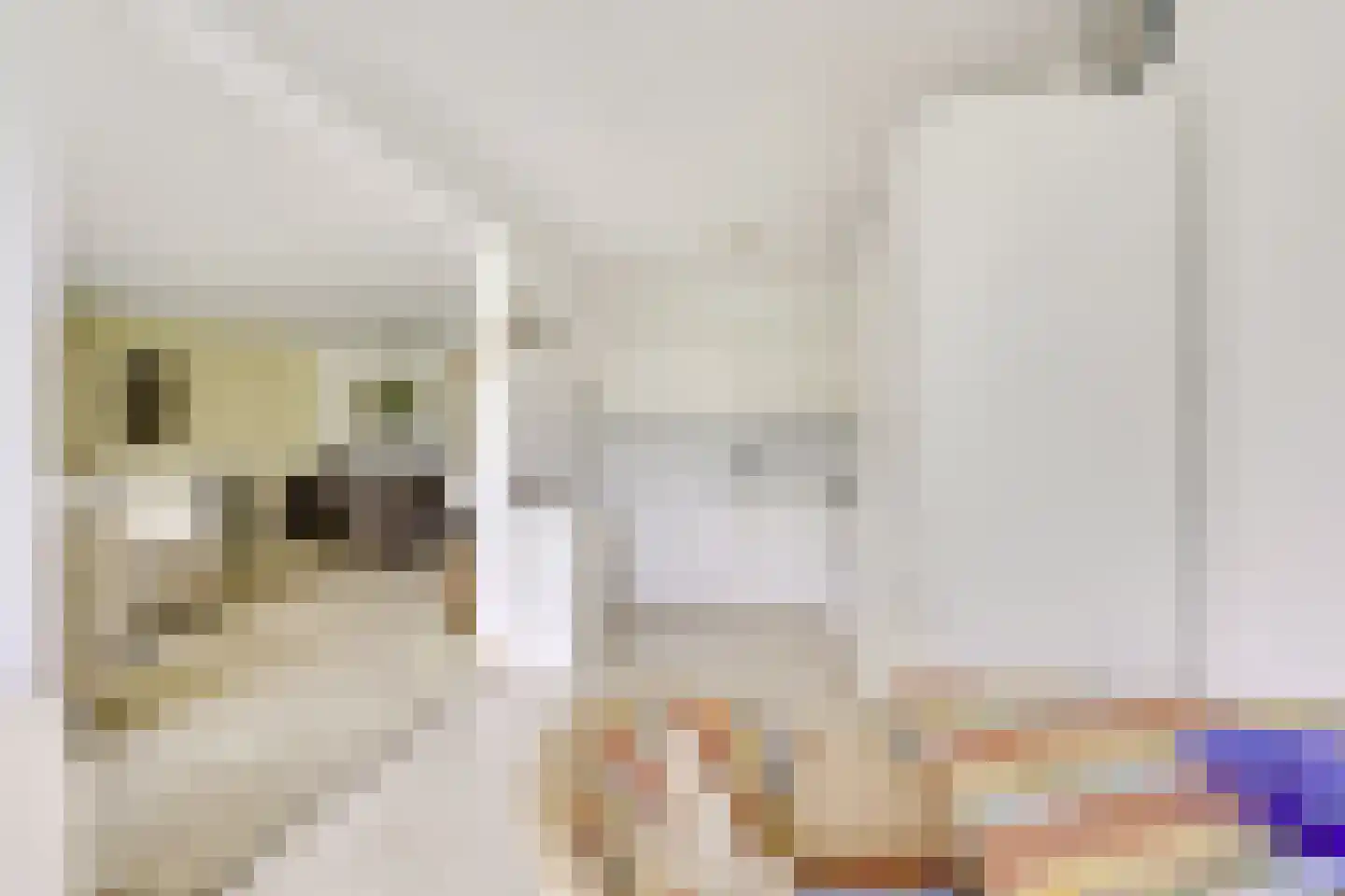 Zomervlinderberm 18 Houten thumbnail 23