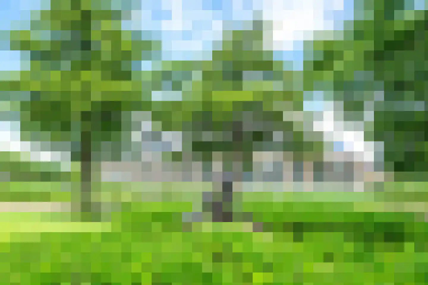 Zomervlinderberm 18 Houten thumbnail 46