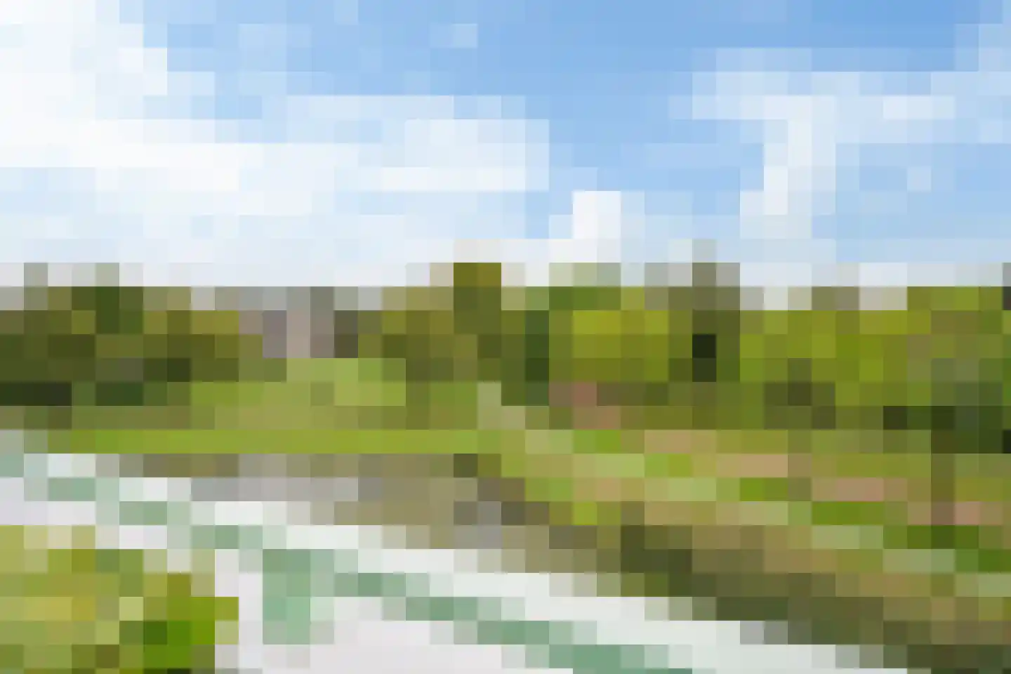 Zomervlinderberm 58 Houten thumbnail 23