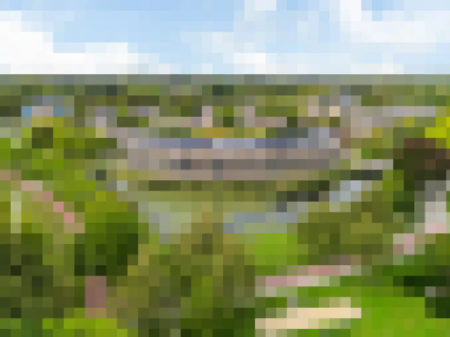 Zomervlinderberm 58 Houten thumbnail 24