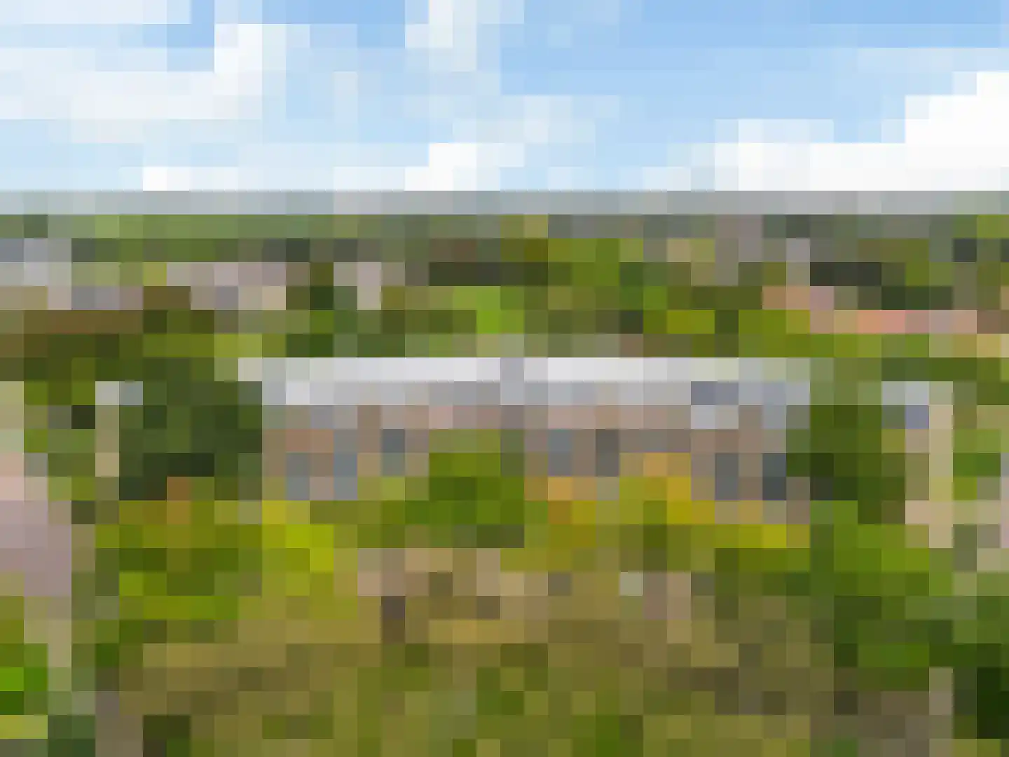 Zomervlinderberm 58 Houten thumbnail 30