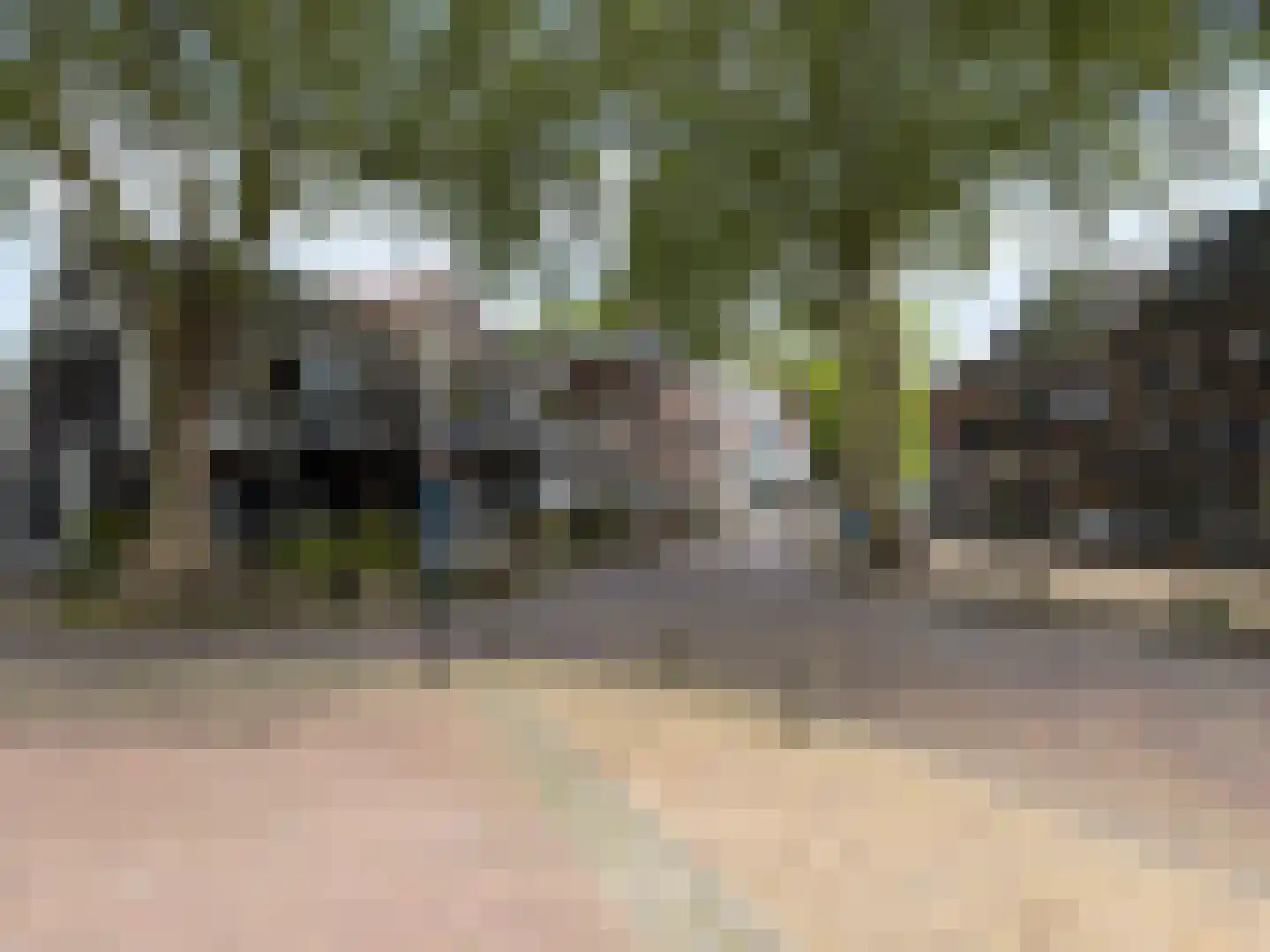 Zomervlinderberm 58 Houten thumbnail 33