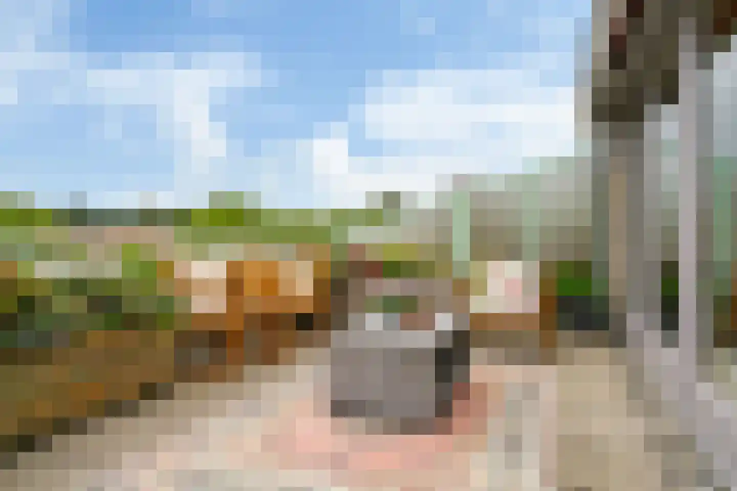 Zomervlinderberm 58 Houten thumbnail 5