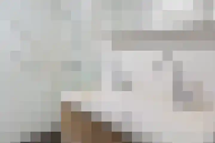 Zomervlinderberm 64 Houten thumbnail 18