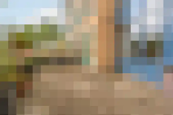 Zomervlinderberm 64 Houten thumbnail 19