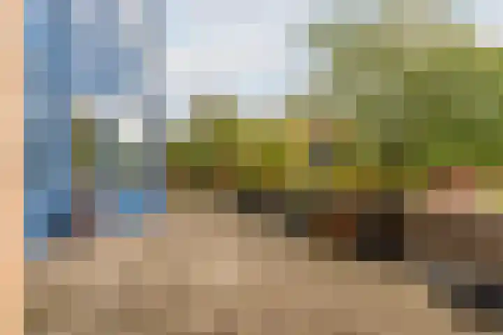 Zomervlinderberm 64 Houten thumbnail 20