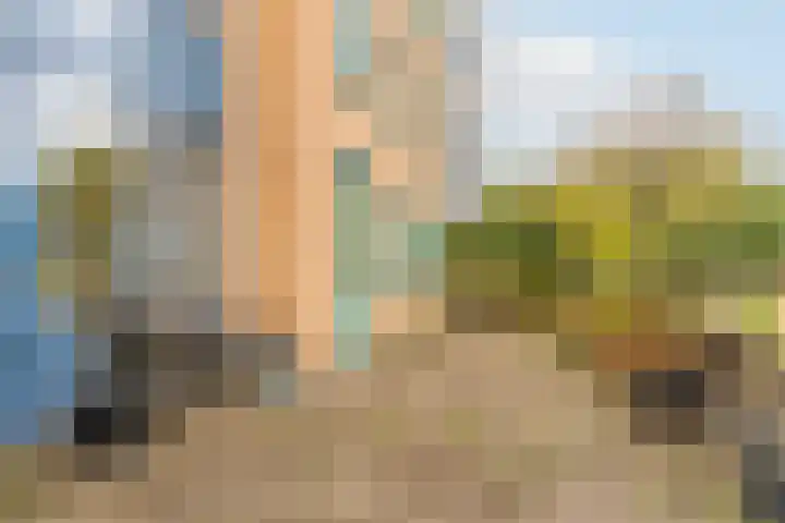 Zomervlinderberm 64 Houten thumbnail 21