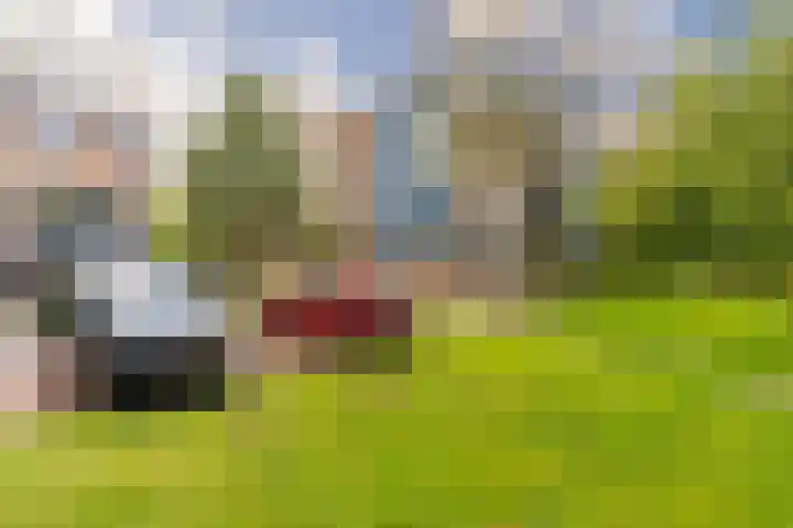 Zomervlinderberm 64 Houten thumbnail 23