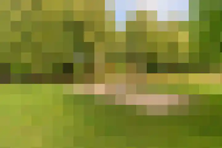 Zomervlinderberm 64 Houten thumbnail 26