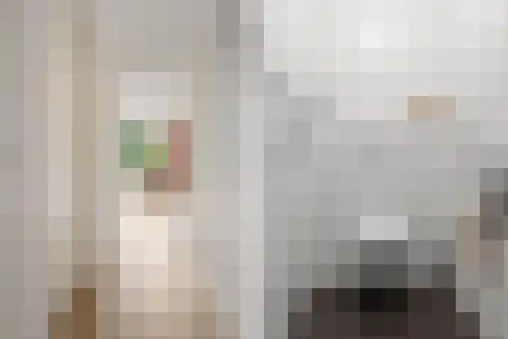 Zomervlinderberm 64 Houten thumbnail 6