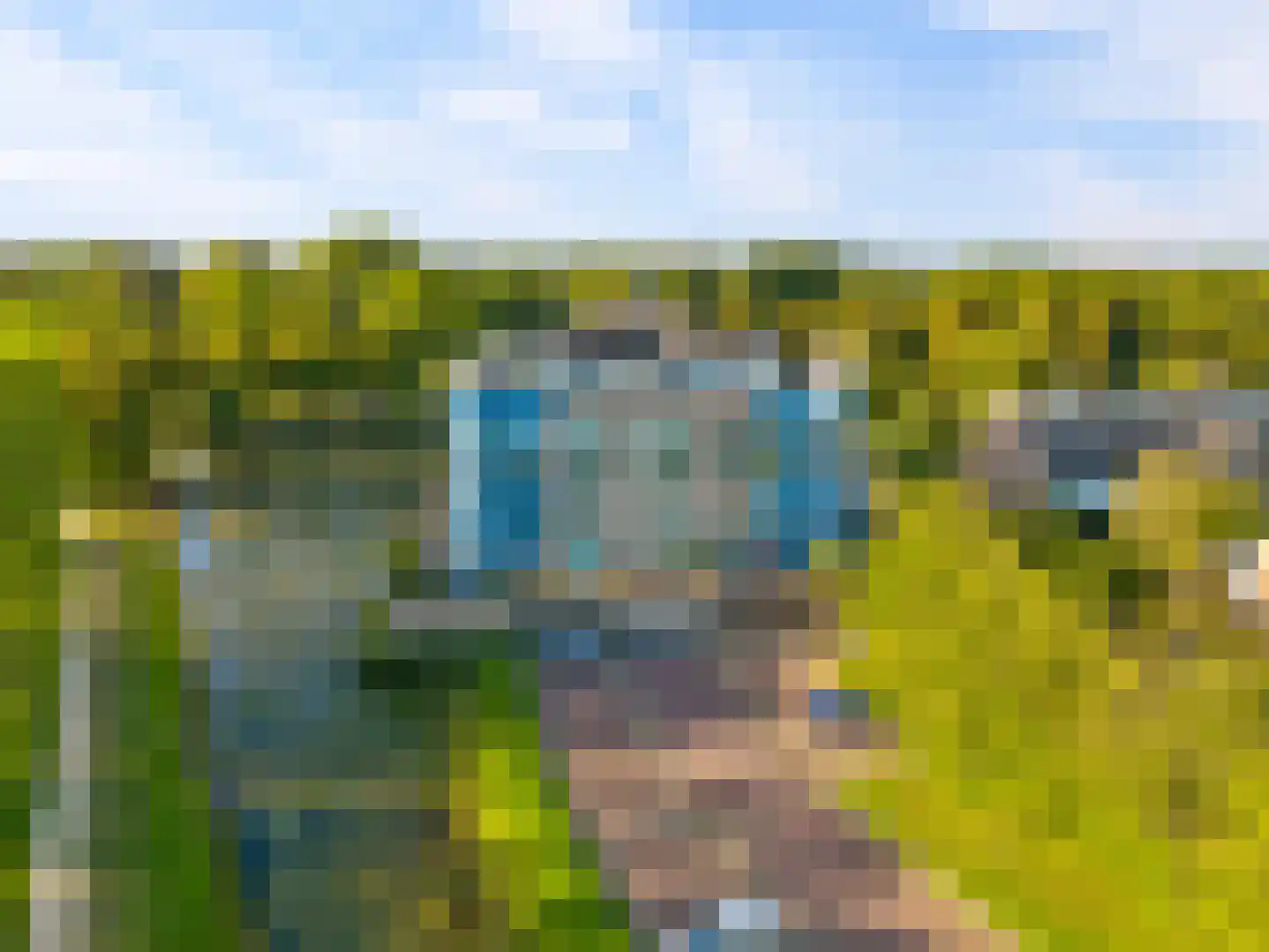 Zomervlinderberm 80 Houten thumbnail 42
