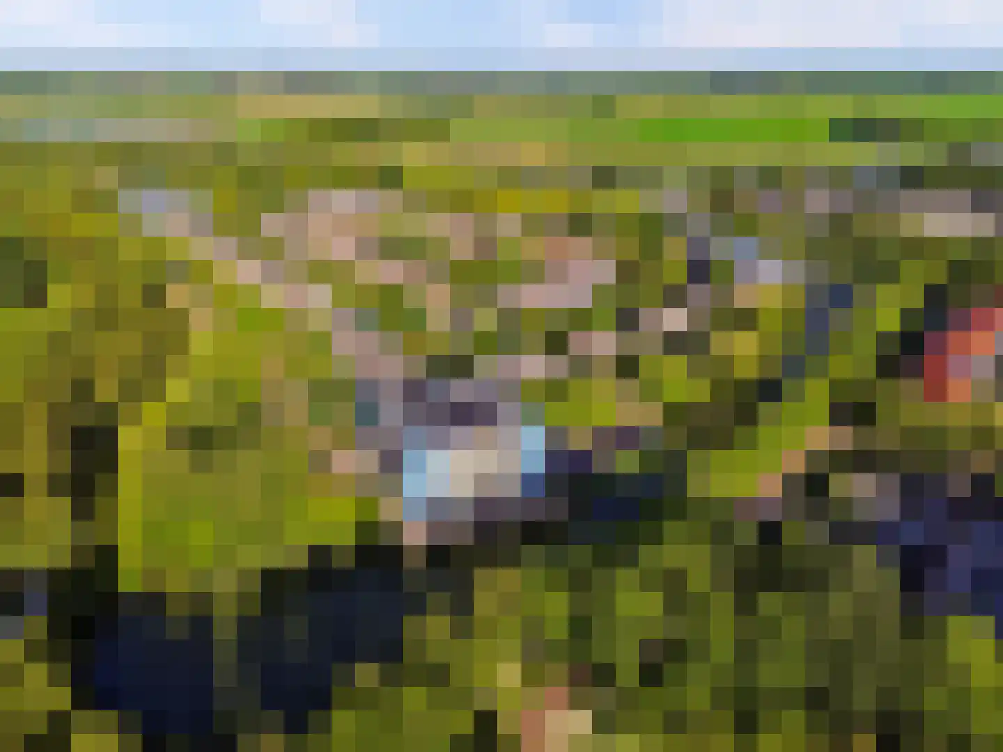 Zomervlinderberm 80 Houten thumbnail 43