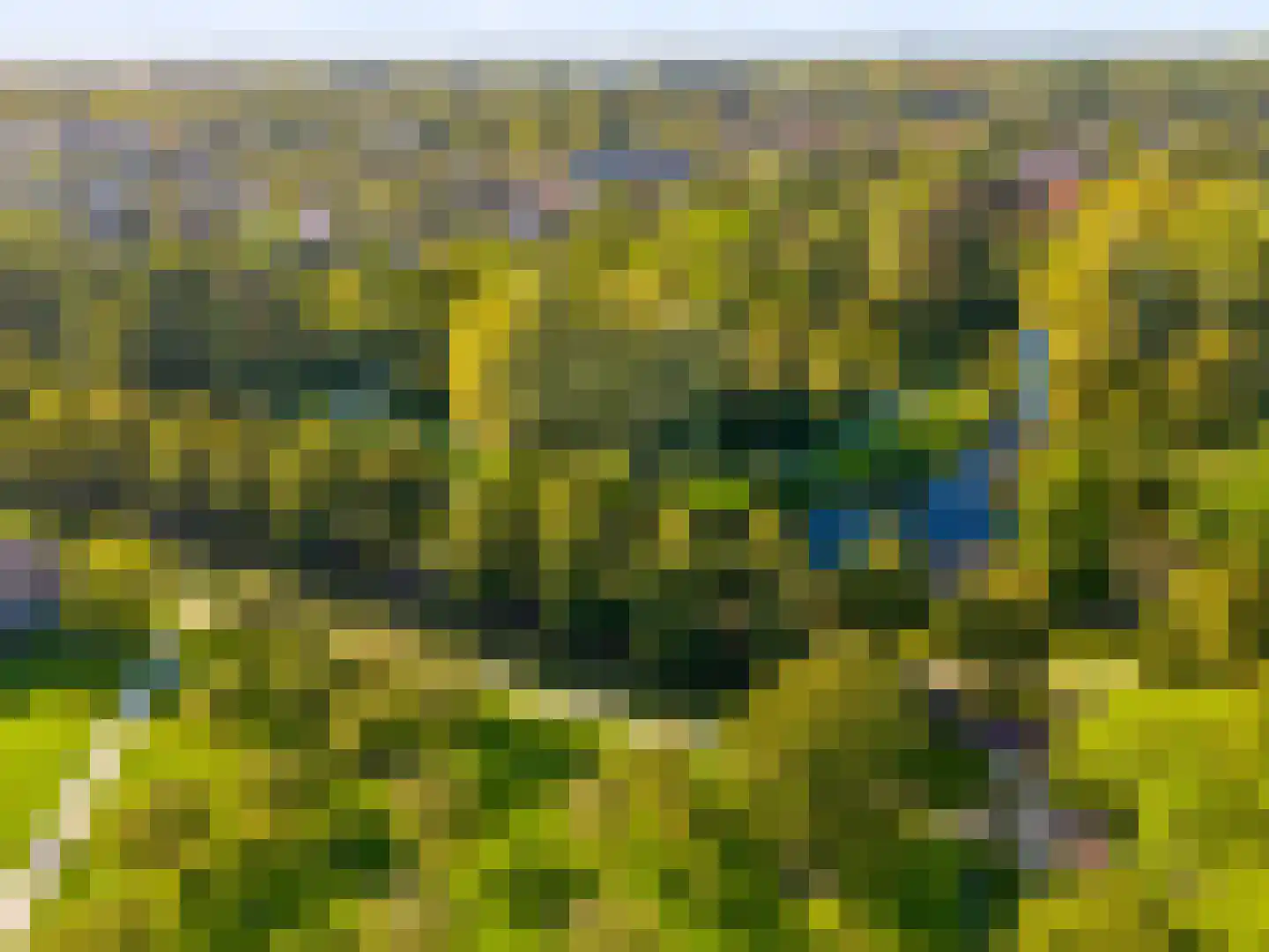Zomervlinderberm 80 Houten thumbnail 44