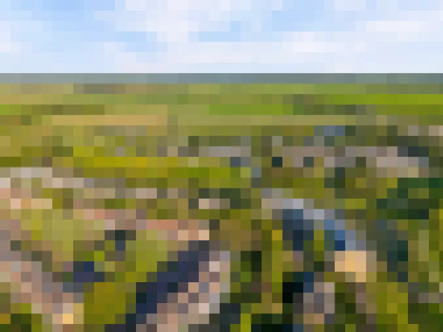 Zomervlinderberm 80 Houten thumbnail 45
