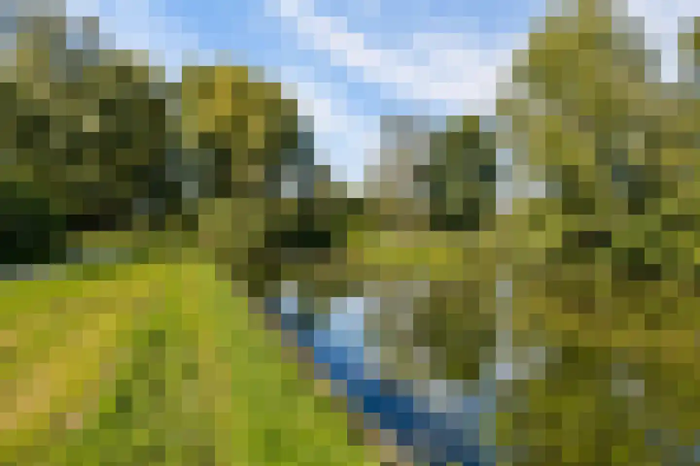 Zomervlinderberm 80 Houten thumbnail 46
