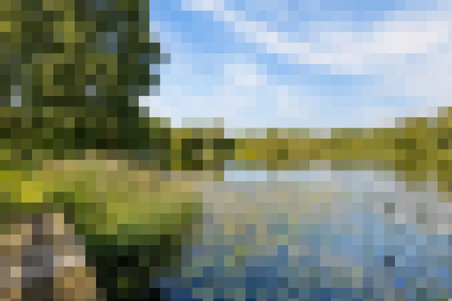 Zomervlinderberm 80 Houten thumbnail 47