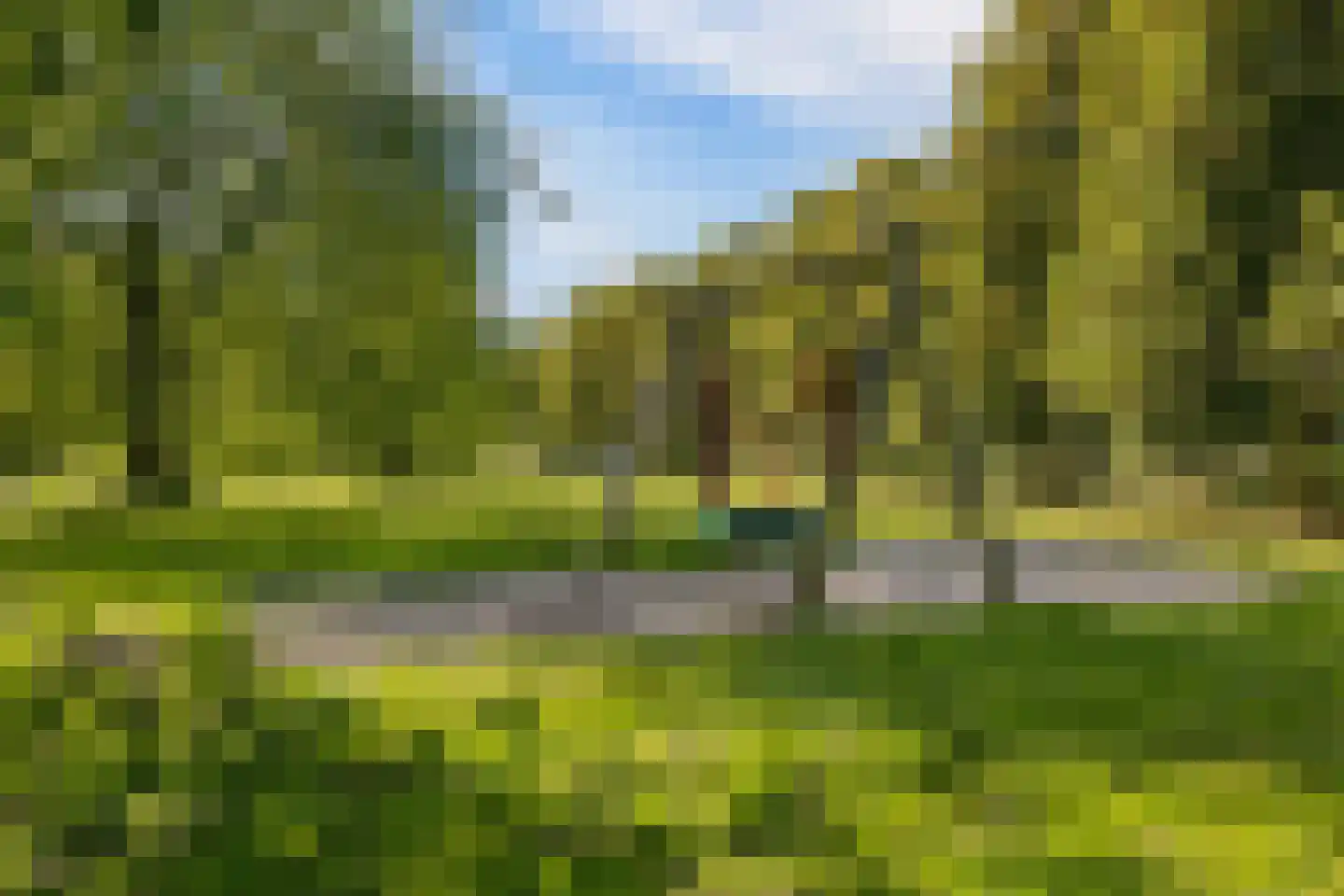Zomervlinderberm 80 Houten thumbnail 48