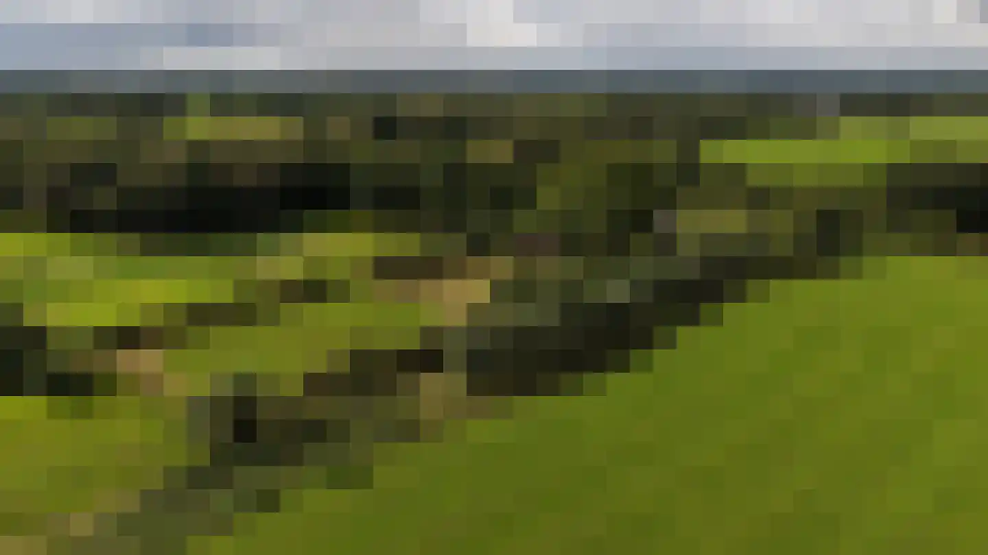 Zomervreugdweg 3 Vorden thumbnail 100