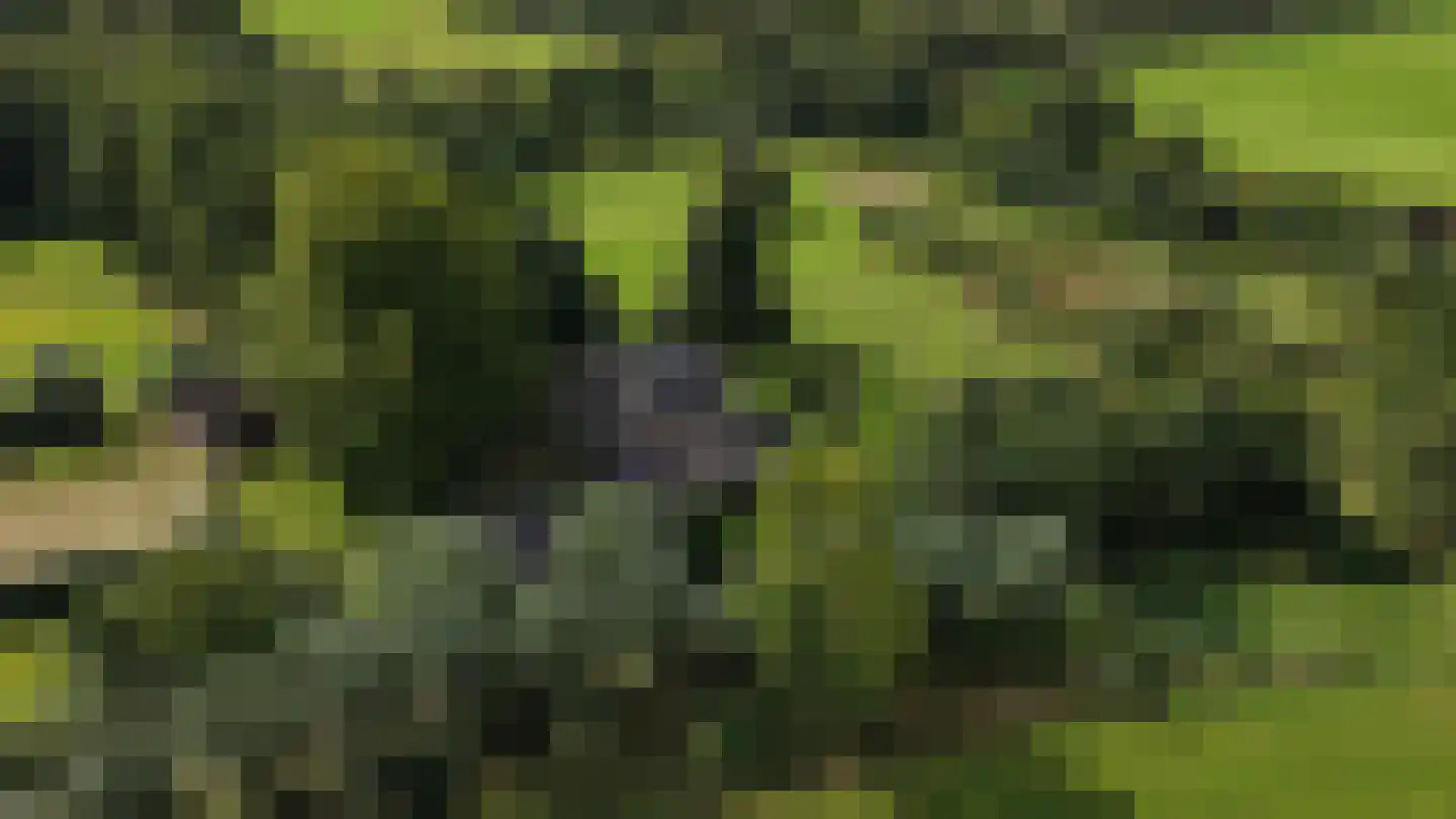 Zomervreugdweg 3 Vorden thumbnail 101