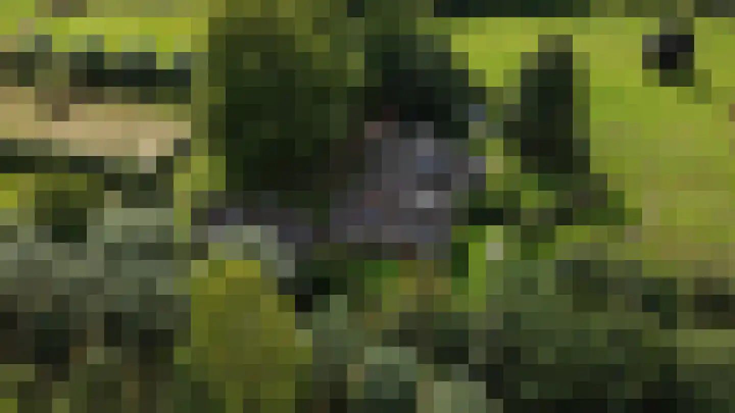 Zomervreugdweg 3 Vorden thumbnail 102