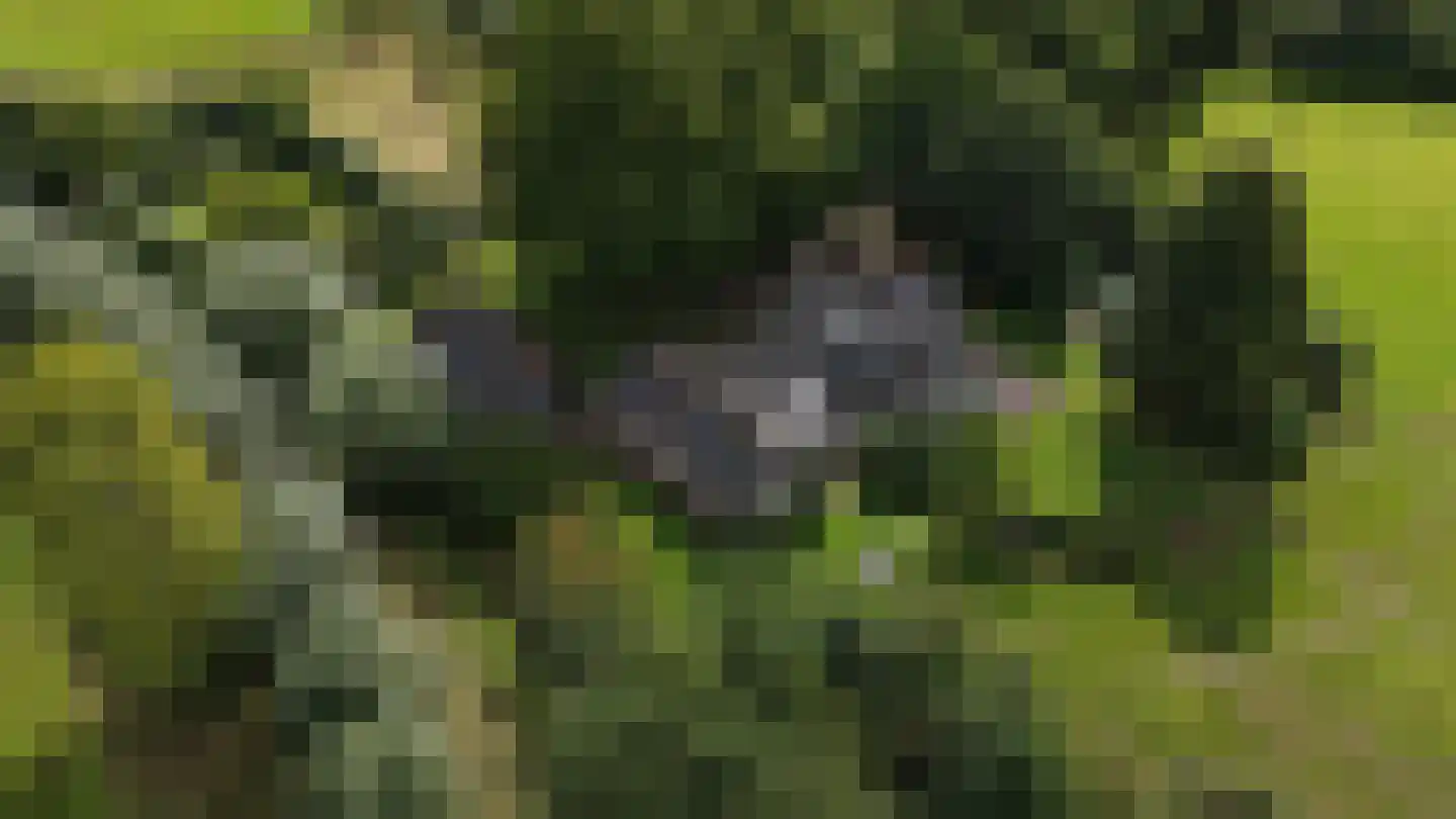 Zomervreugdweg 3 Vorden thumbnail 103