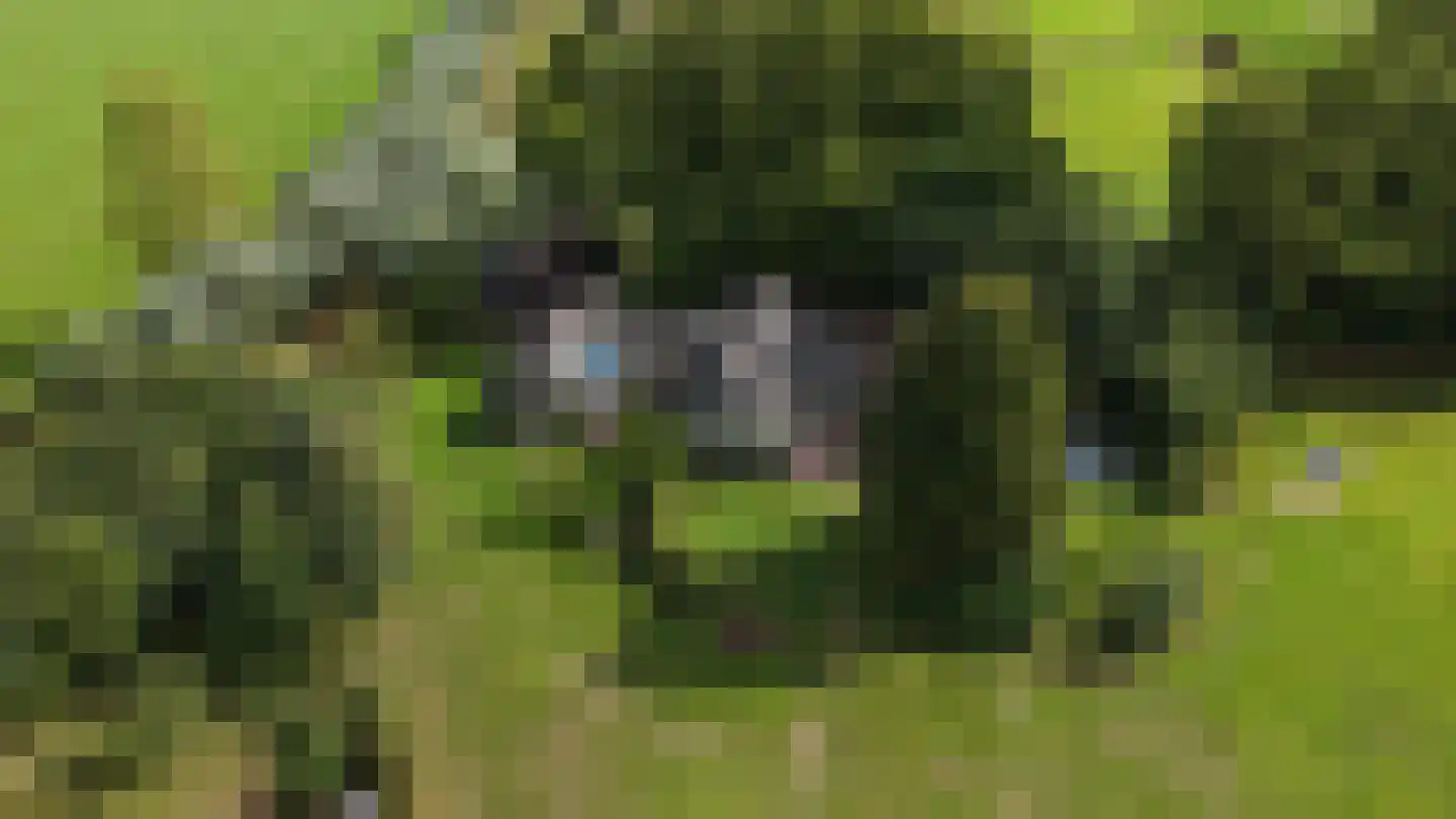 Zomervreugdweg 3 Vorden thumbnail 104