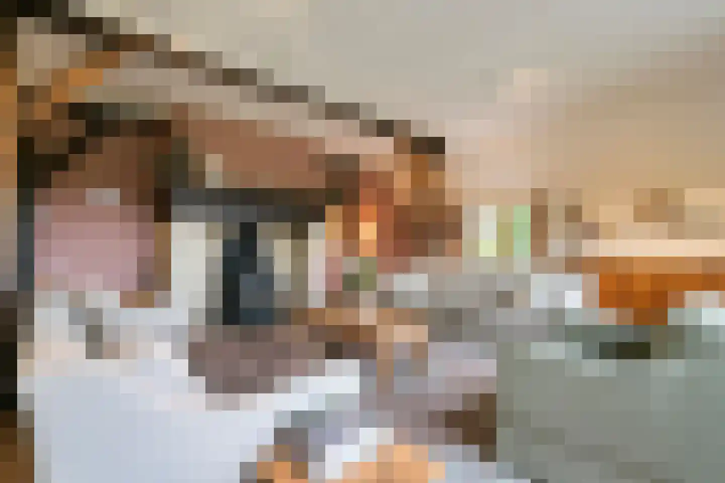 Zomervreugdweg 3 Vorden thumbnail 11