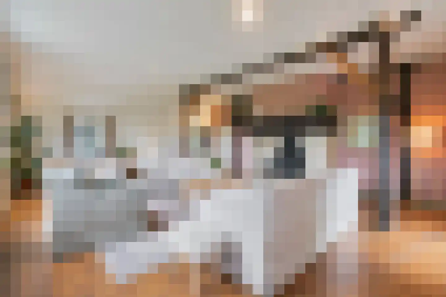 Zomervreugdweg 3 Vorden thumbnail 12