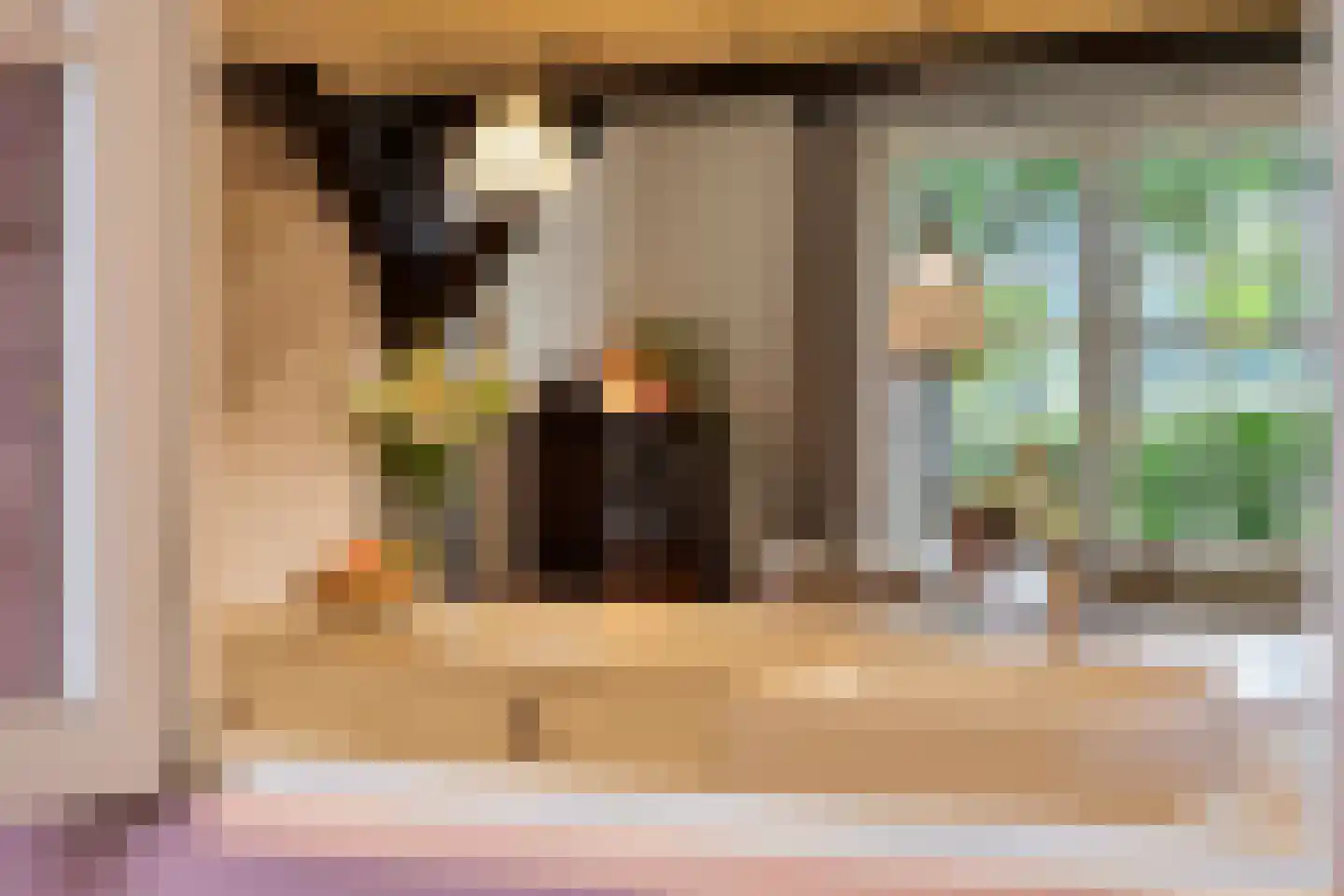 Zomervreugdweg 3 Vorden thumbnail 15
