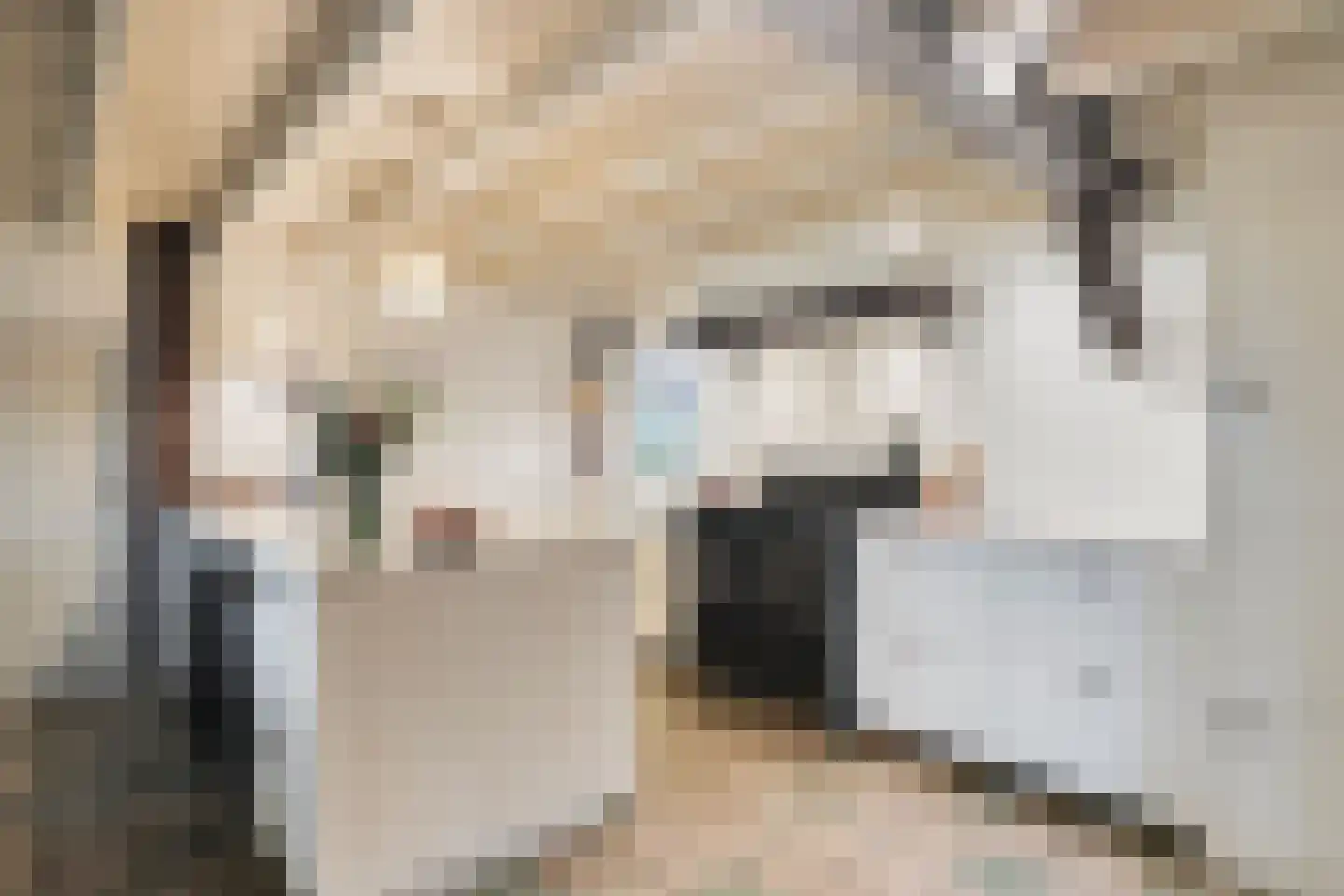Zomervreugdweg 3 Vorden thumbnail 17