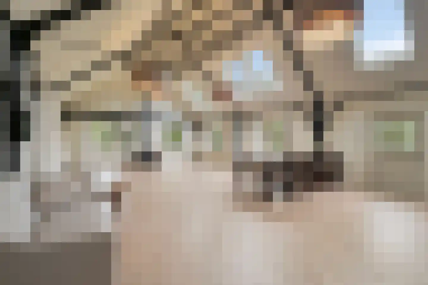 Zomervreugdweg 3 Vorden thumbnail 26
