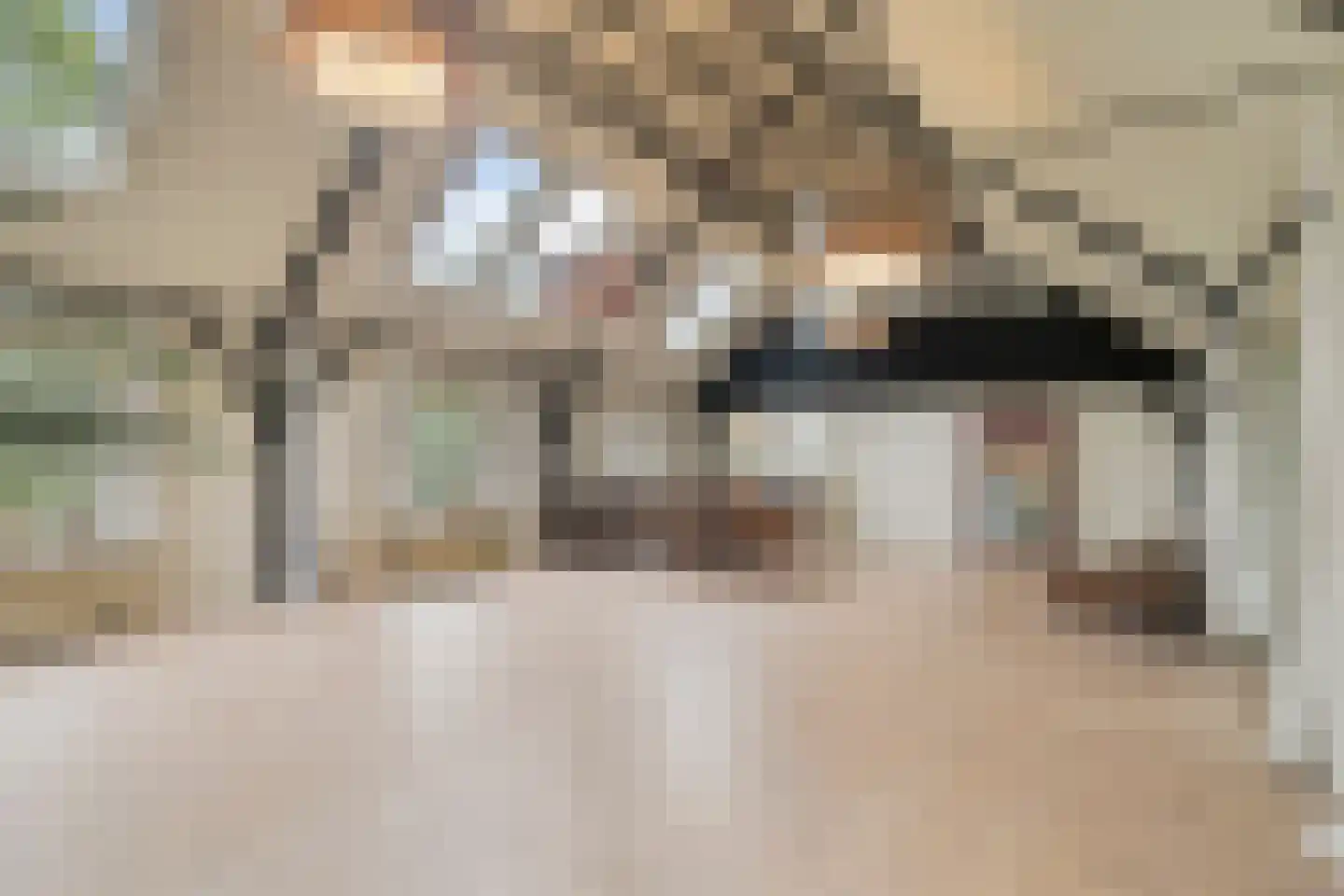 Zomervreugdweg 3 Vorden thumbnail 27