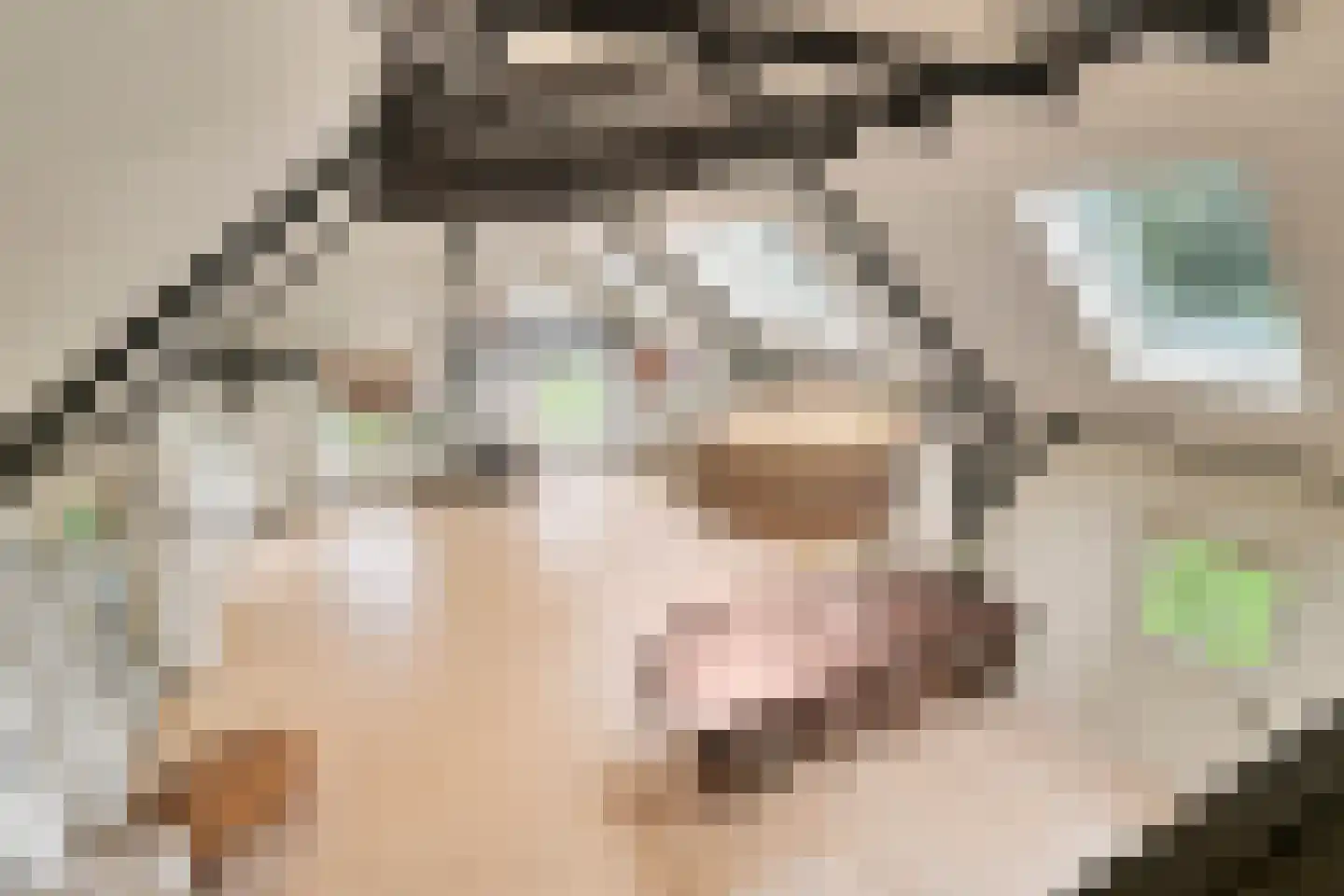 Zomervreugdweg 3 Vorden thumbnail 32