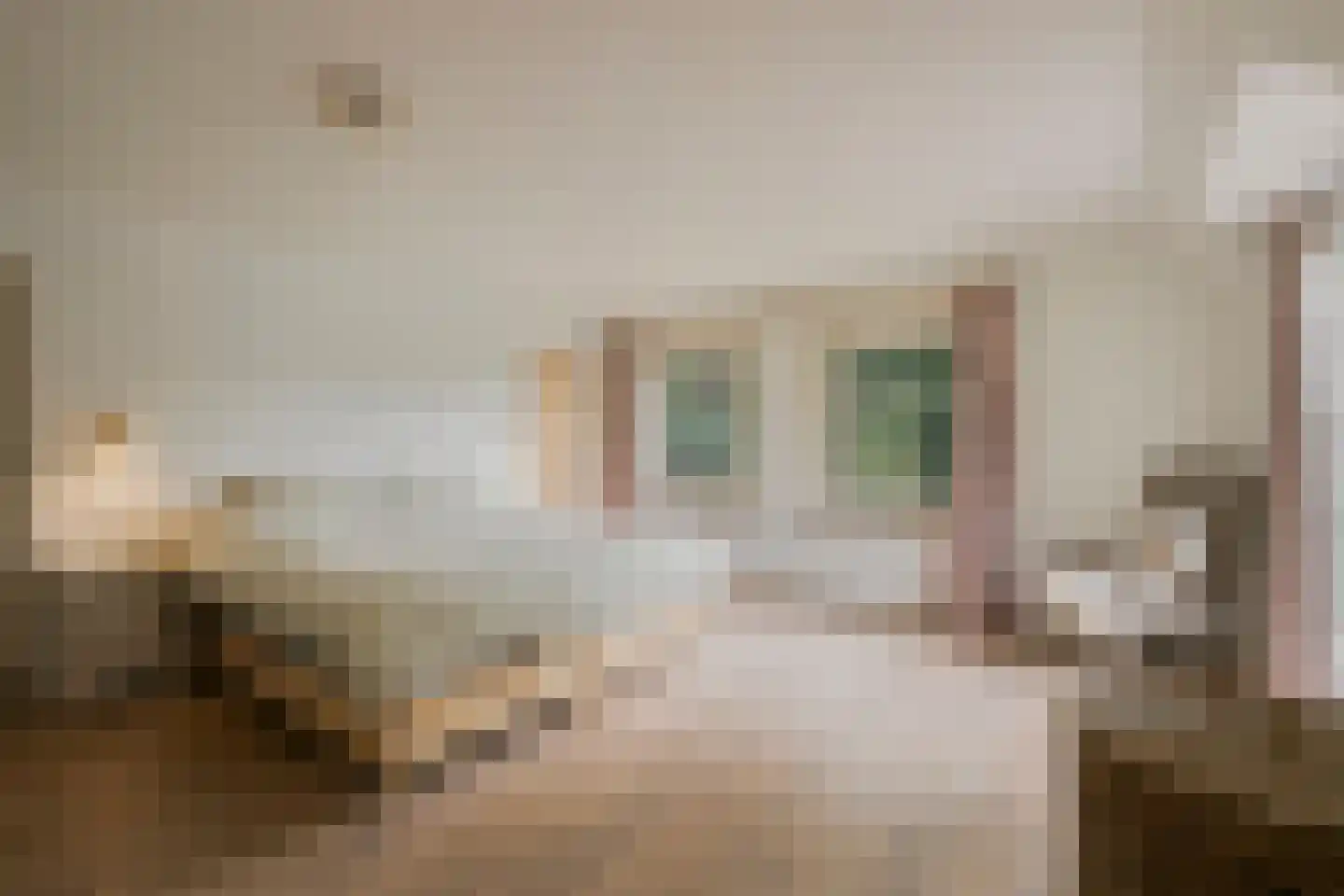Zomervreugdweg 3 Vorden thumbnail 38