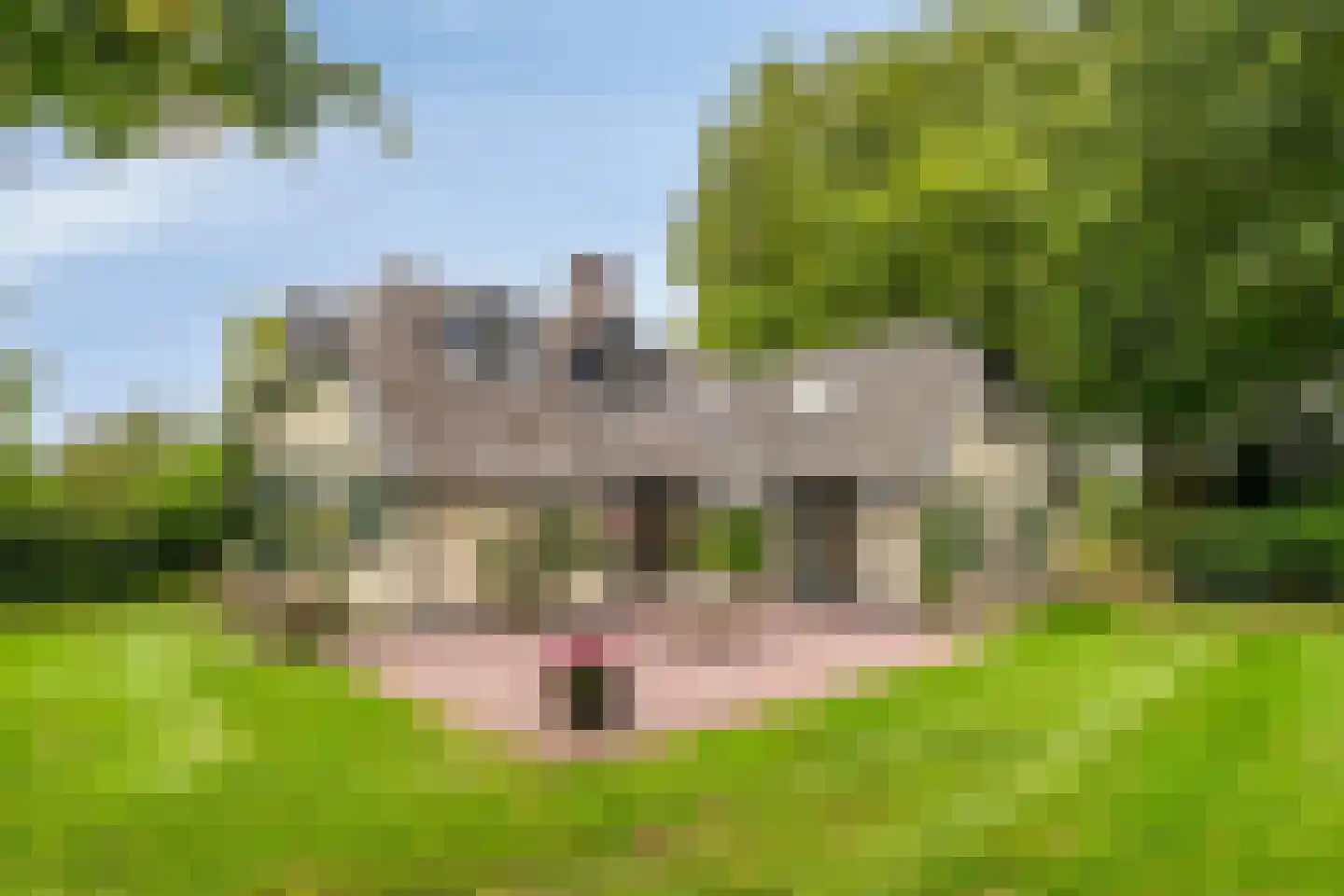 Zomervreugdweg 3 Vorden thumbnail 4