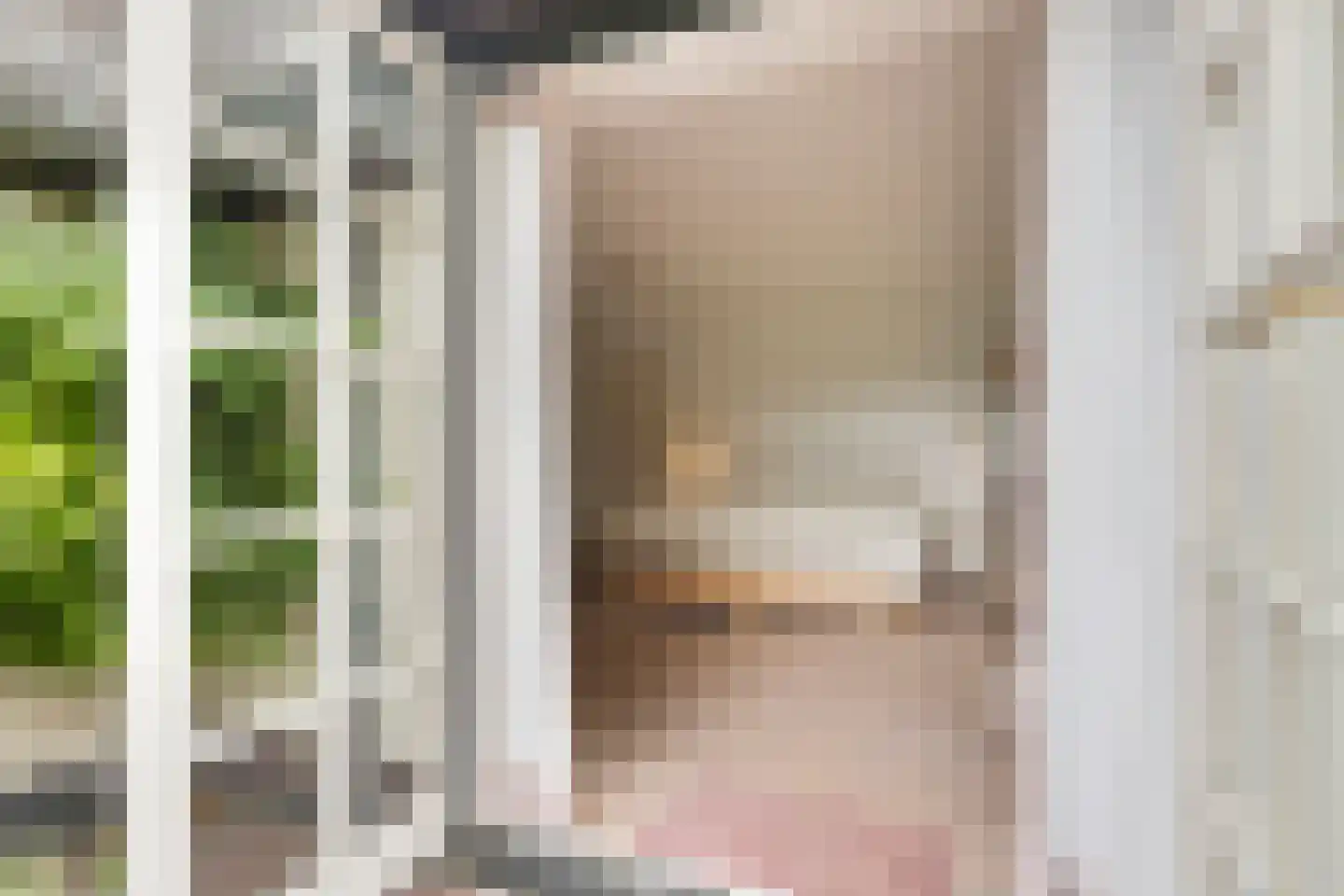 Zomervreugdweg 3 Vorden thumbnail 41