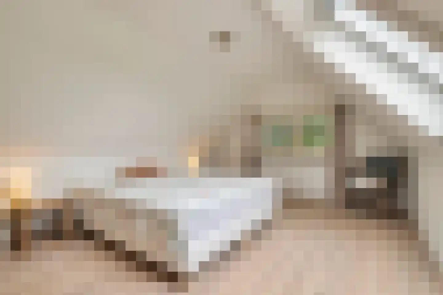 Zomervreugdweg 3 Vorden thumbnail 49