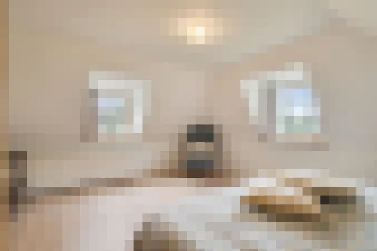 Zomervreugdweg 3 Vorden thumbnail 54