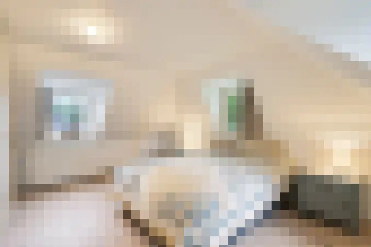 Zomervreugdweg 3 Vorden thumbnail 57