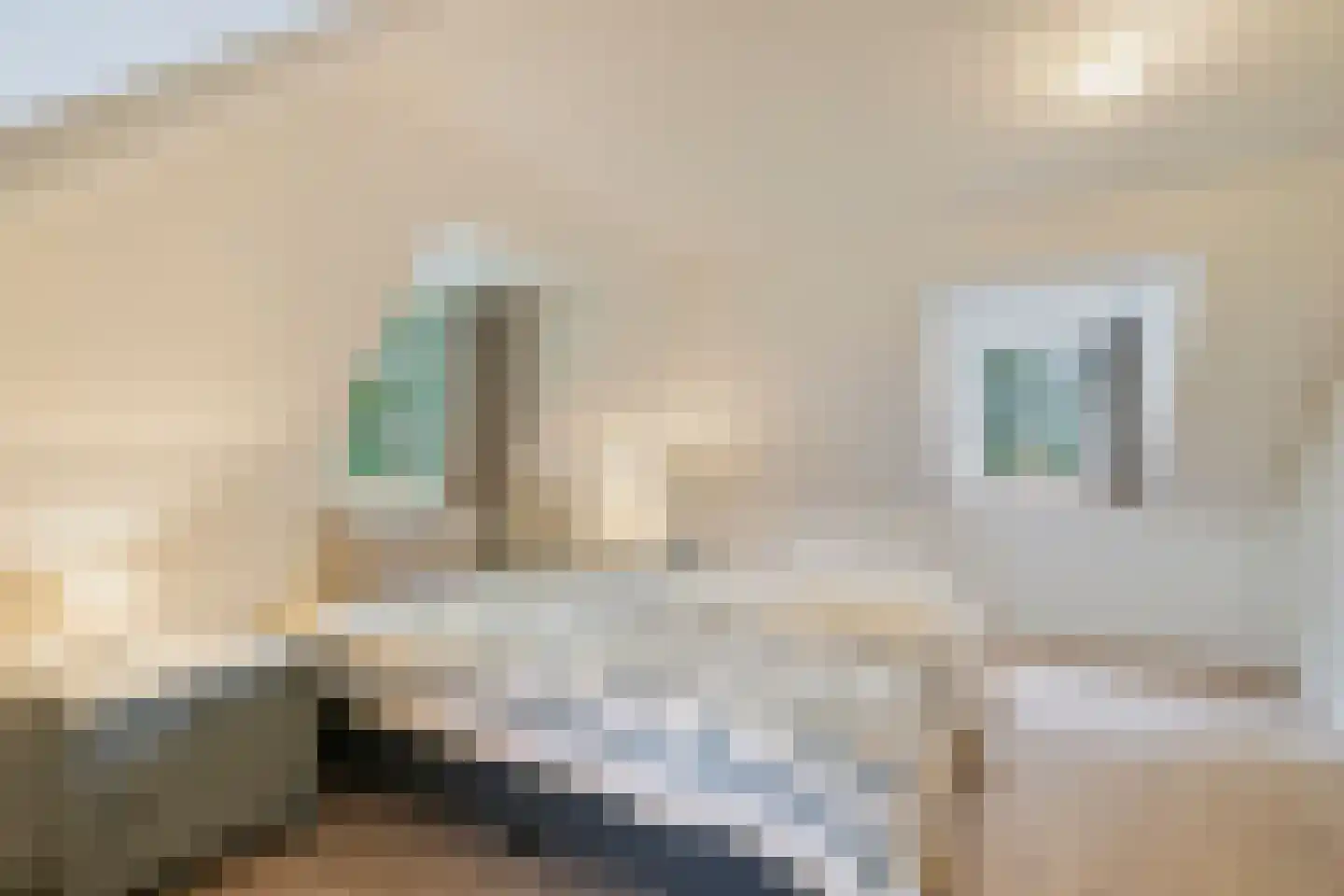 Zomervreugdweg 3 Vorden thumbnail 58