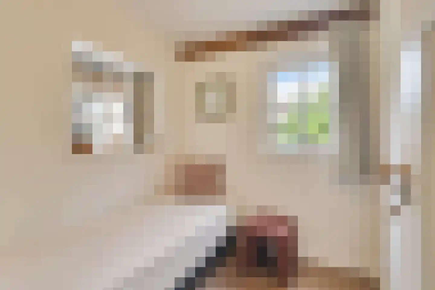 Zomervreugdweg 3 Vorden thumbnail 63