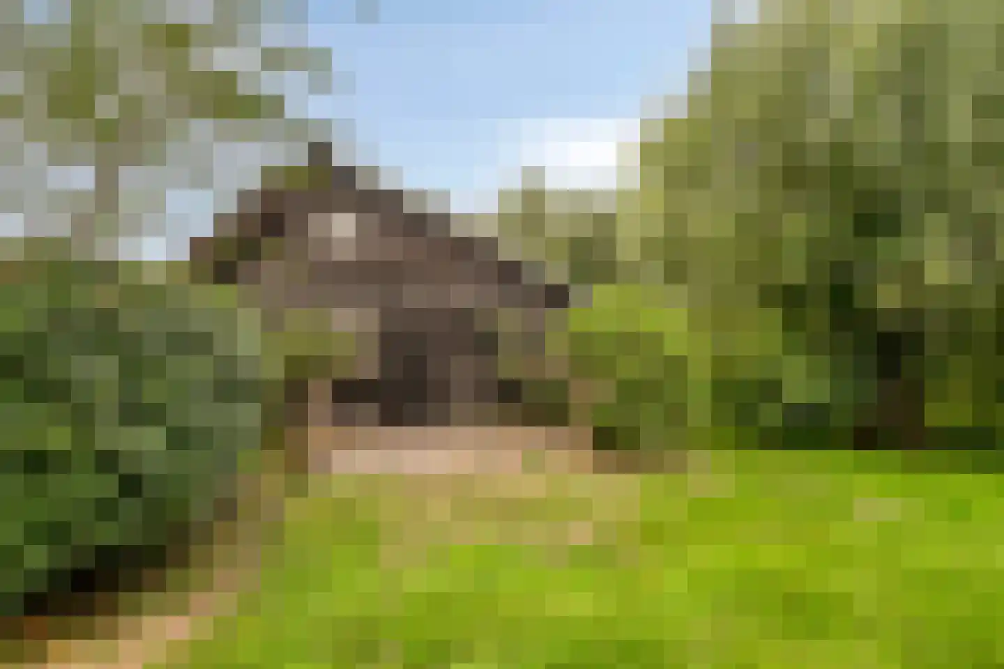 Zomervreugdweg 3 Vorden thumbnail 67