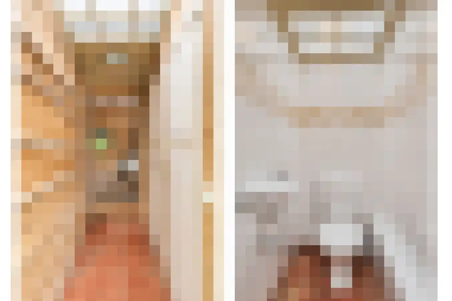 Zomervreugdweg 3 Vorden thumbnail 68