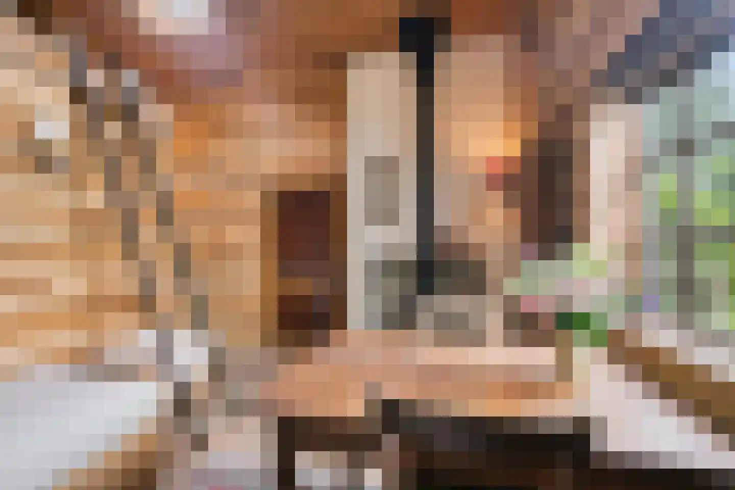 Zomervreugdweg 3 Vorden thumbnail 69