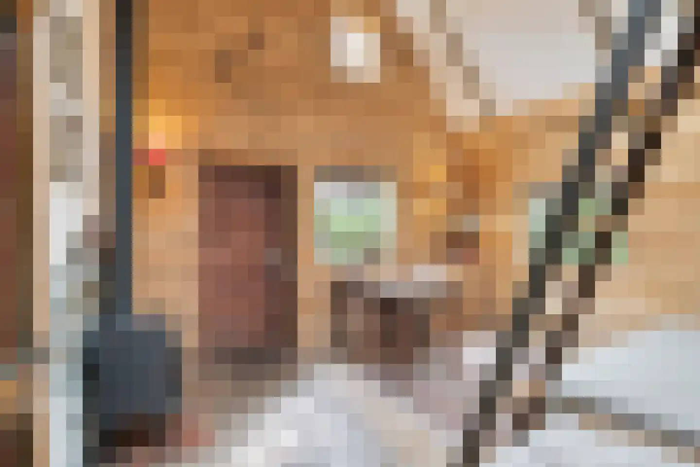 Zomervreugdweg 3 Vorden thumbnail 70