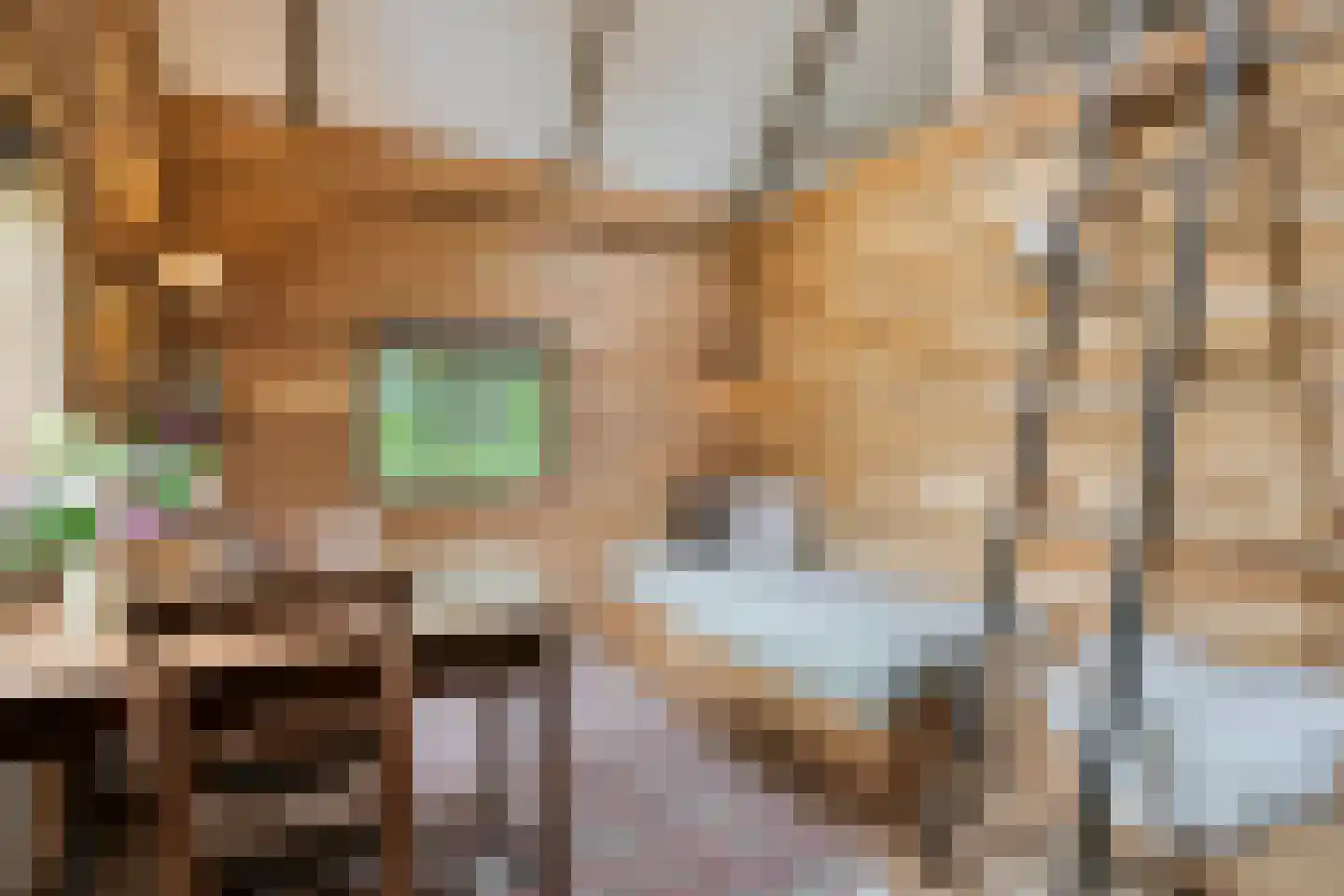 Zomervreugdweg 3 Vorden thumbnail 71