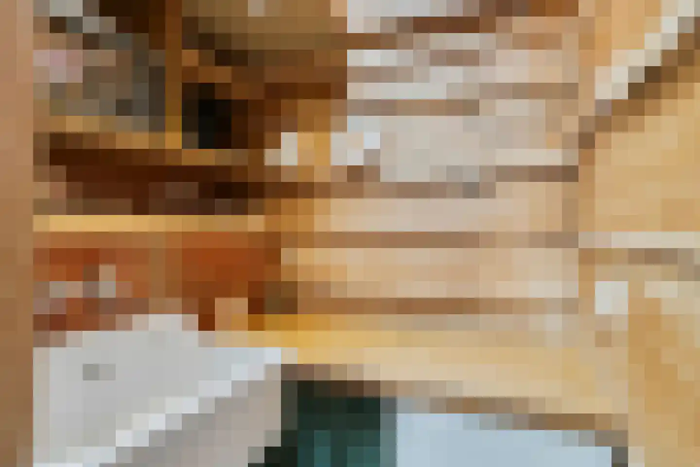 Zomervreugdweg 3 Vorden thumbnail 74