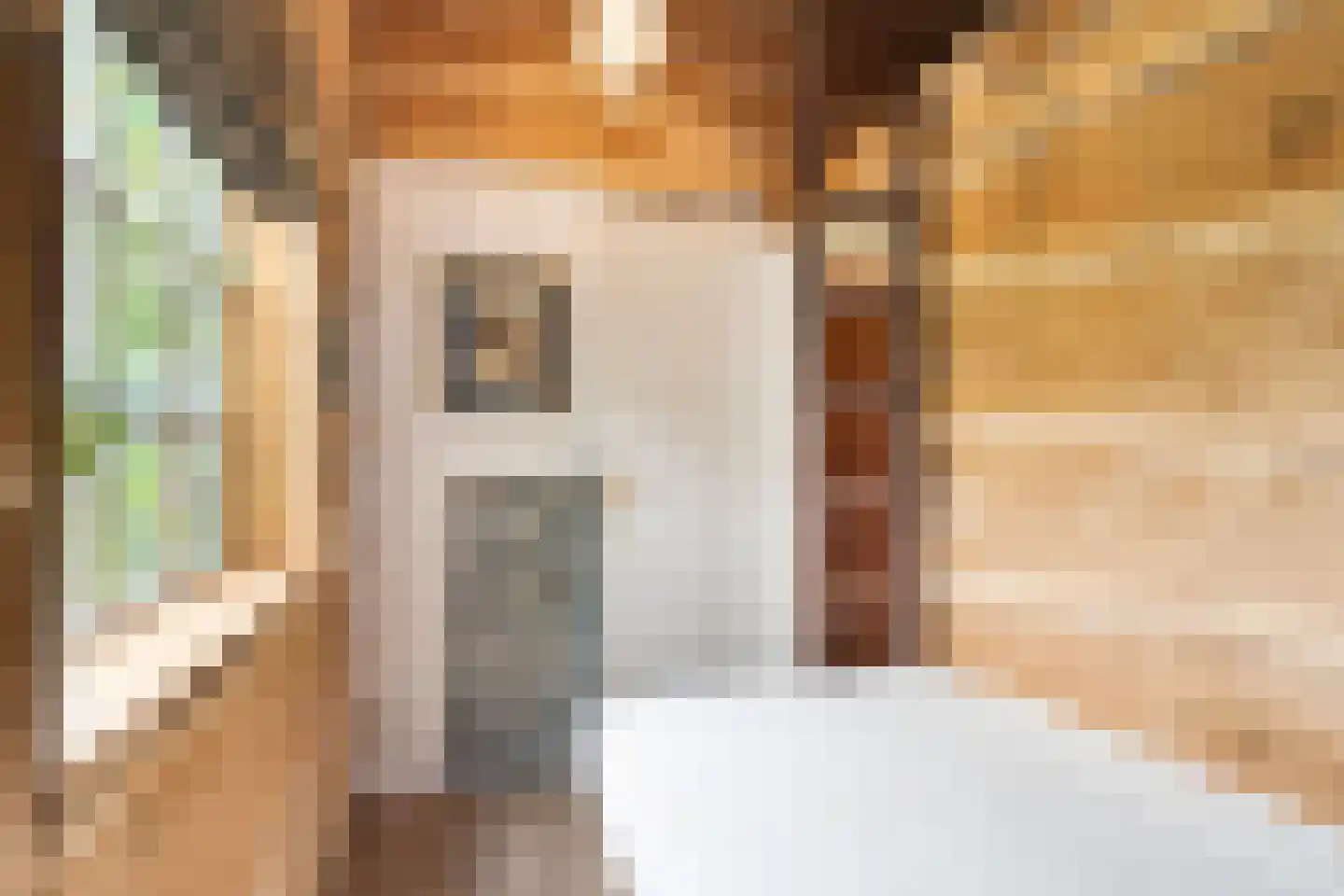 Zomervreugdweg 3 Vorden thumbnail 75